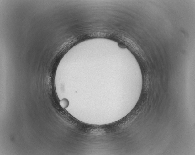 X0000115700258200912101221