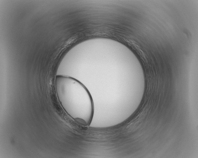 X0000115700260200912101221