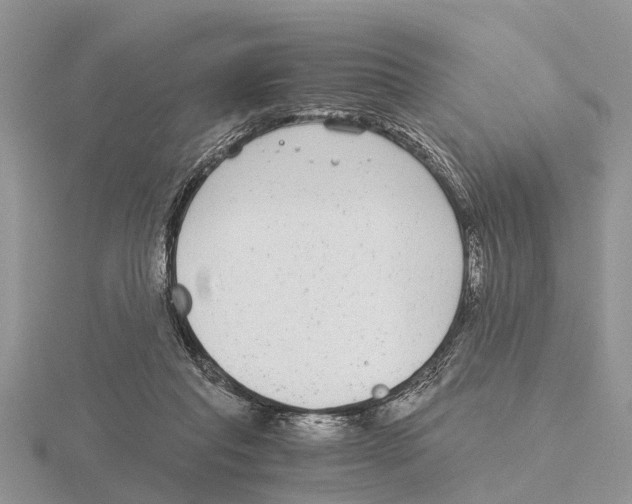 X0000115700261200912101221