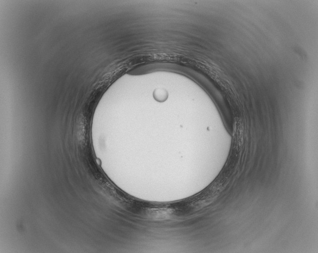 X0000115700266200912101222