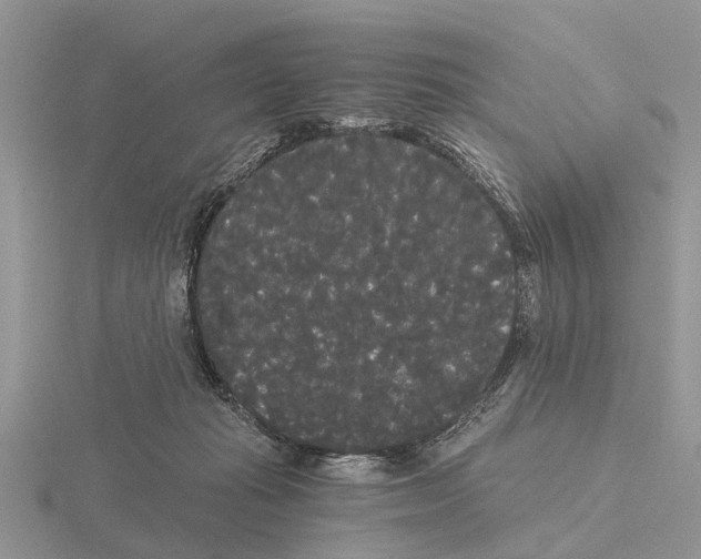 X0000115700269200912101222