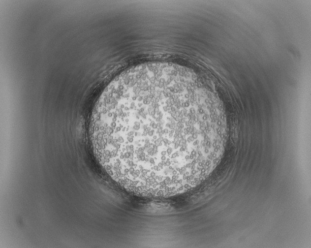 X0000115700270200912101222