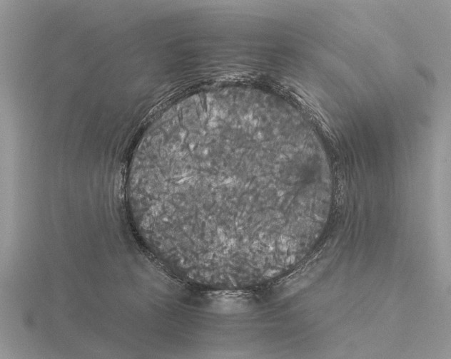 X0000115700273200912101222