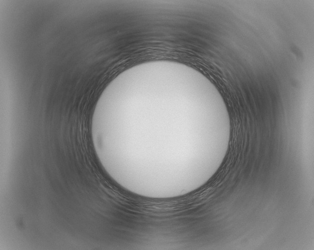 X0000115700275200912101222