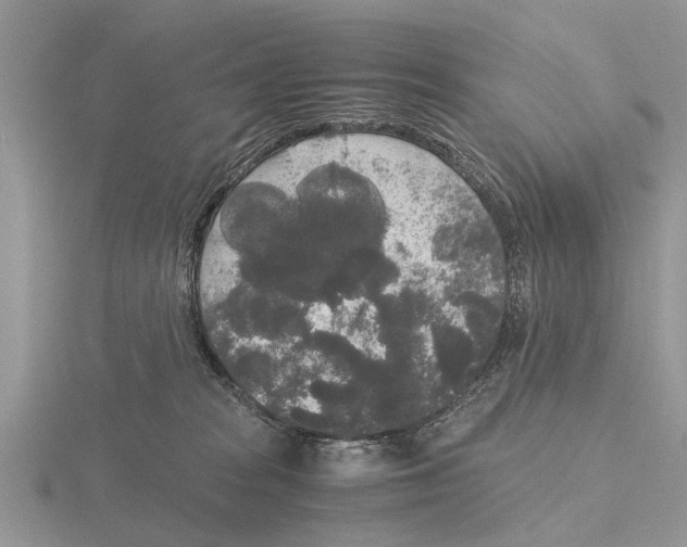 X0000115700277200912101222