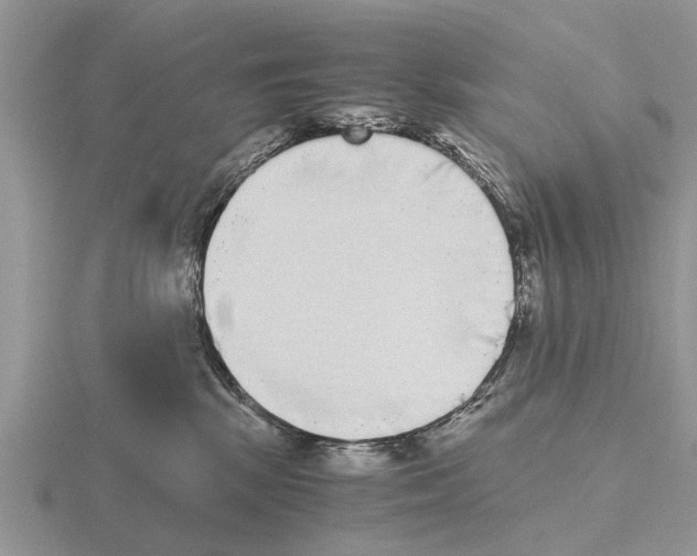 X0000115700281200912101222