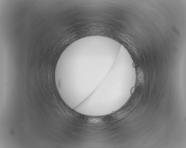 X0000115700283200912101222