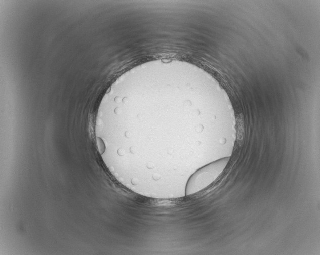 X0000115700287200912101222