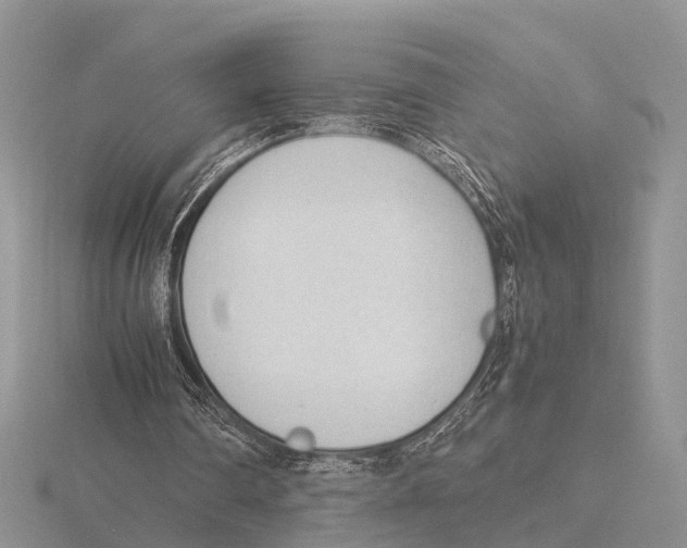 X0000115700290200912101221