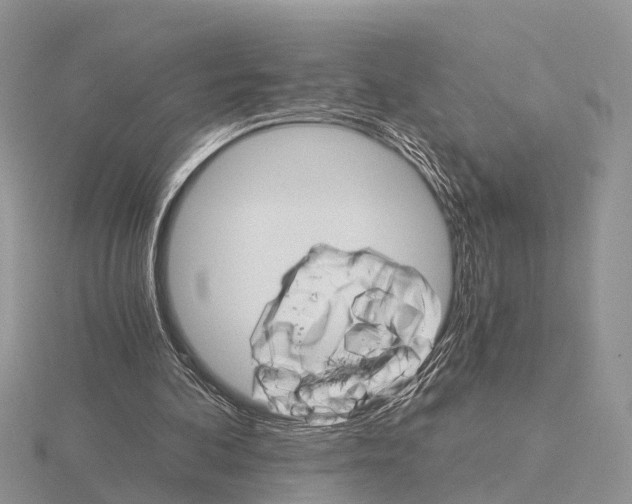 X0000115700292200912101221