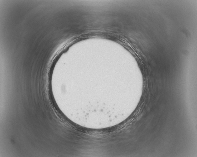 X0000115700293200912101221