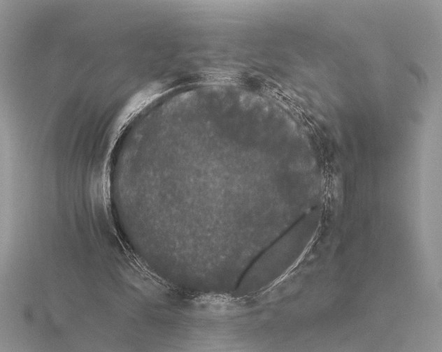 X0000115700294200912101221