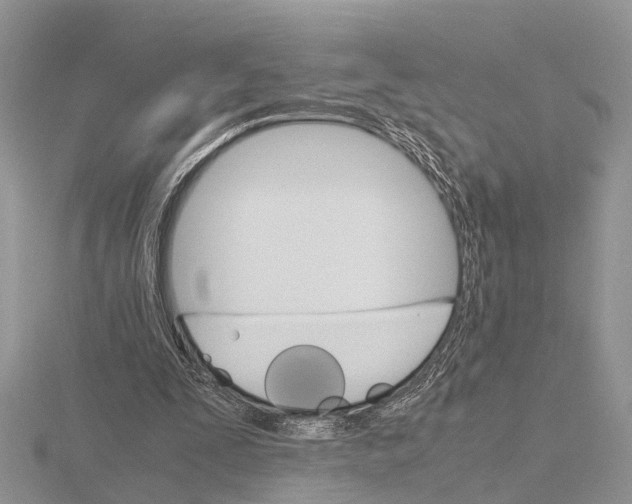 X0000115700295200912101221