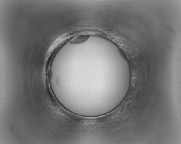 X0000115700296200912101221