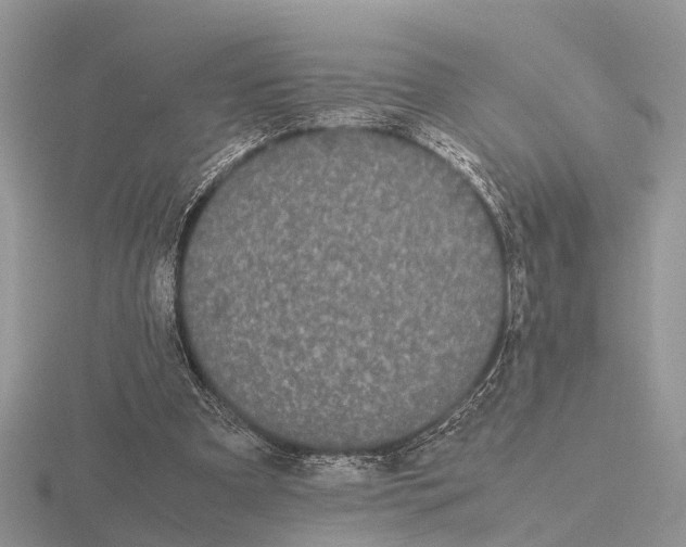 X0000115700297200912101221