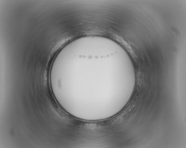 X0000115700298200912101221