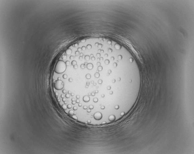 X0000115700299200912101221