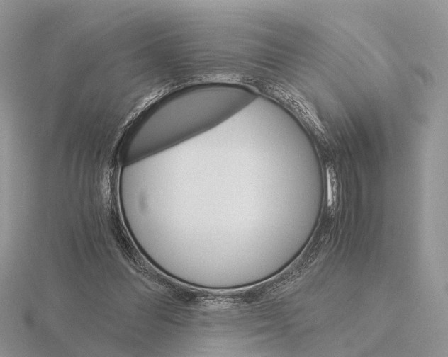 X0000115700300200912101221