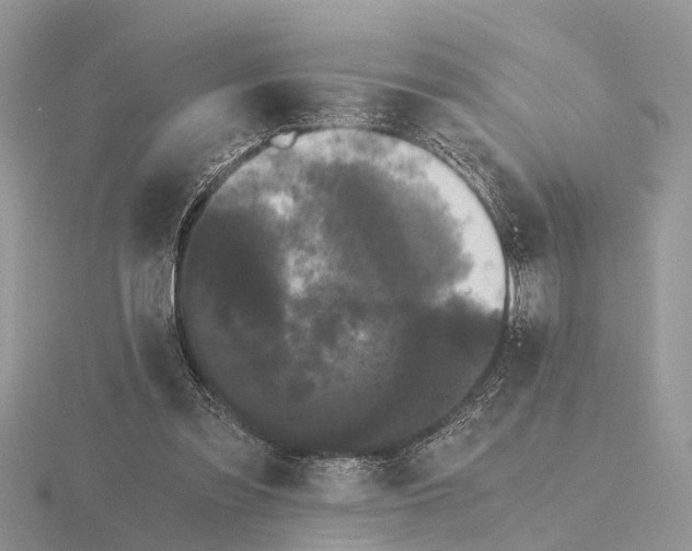 X0000115700301200912101221