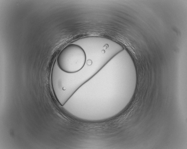 X0000115700303200912101221