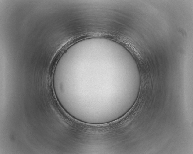 X0000115700304200912101221