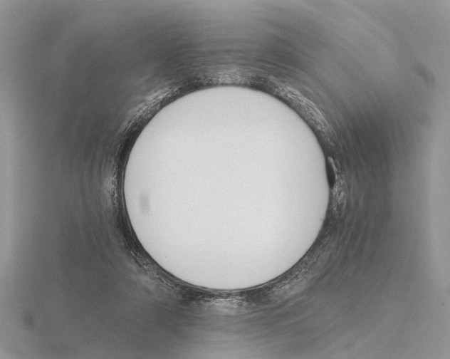 X0000115700306200912101221