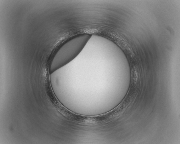 X0000115700308200912101221