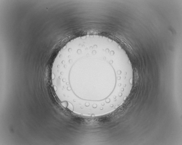 X0000115700311200912101221