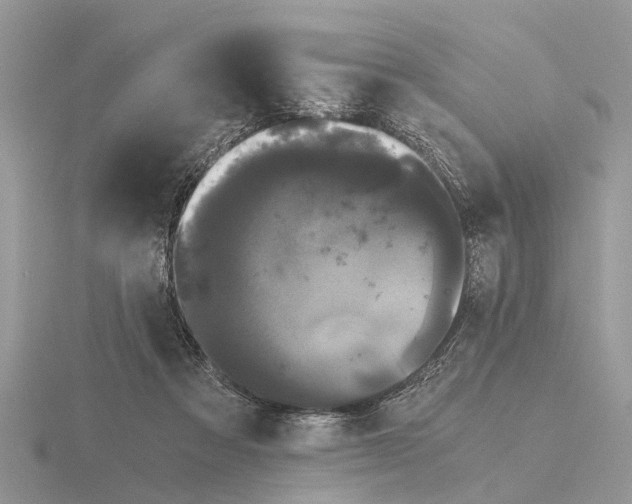 X0000115700313200912101221