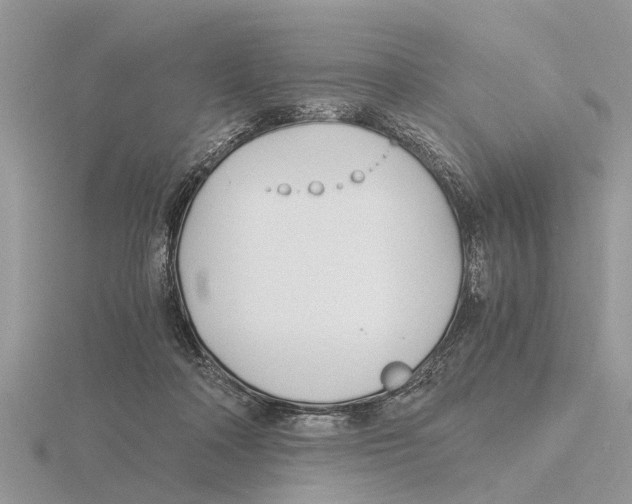 X0000115700314200912101221