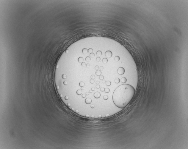 X0000115700319200912101221