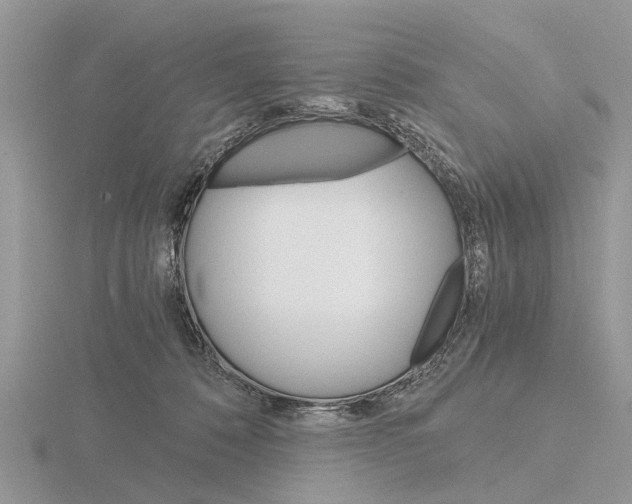 X0000115700320200912101220