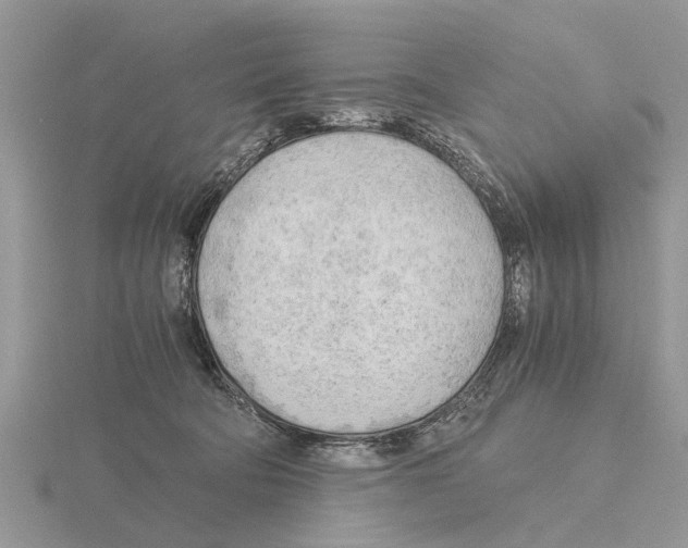 X0000115700322200912101220