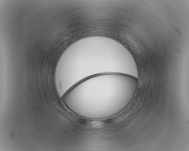 X0000115700324200912101220