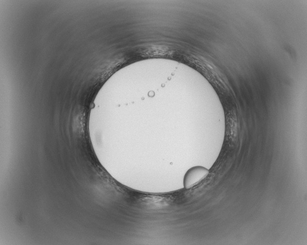 X0000115700326200912101220