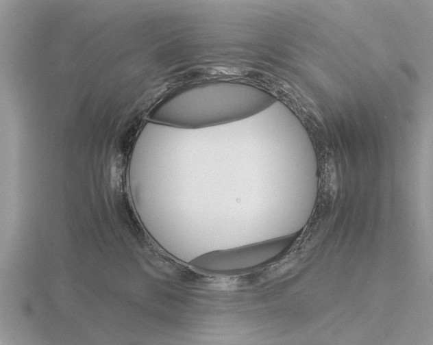 X0000115700328200912101220