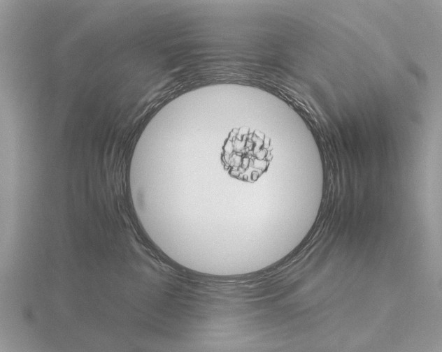 X0000115700332200912101220