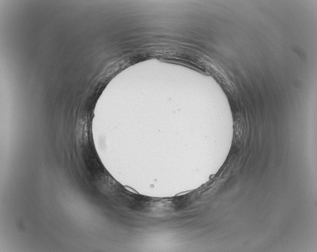 X0000115700333200912101220