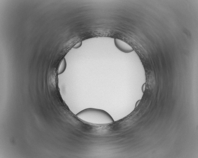 X0000115700334200912101220