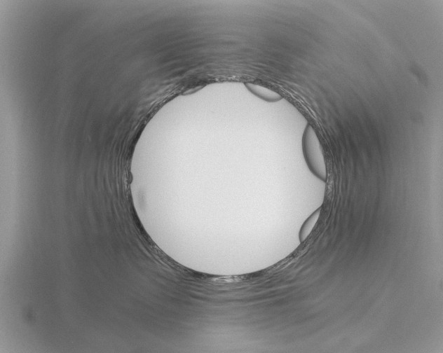 X0000115700335200912101220