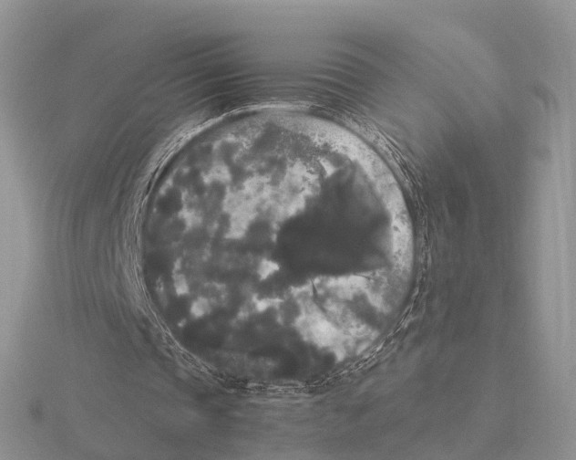 X0000115700337200912101220