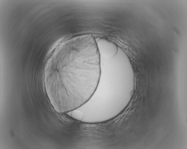 X0000115700339200912101220