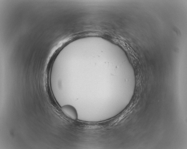 X0000115700342200912101220