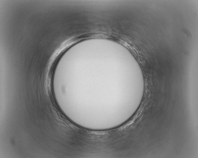 X0000115700343200912101220