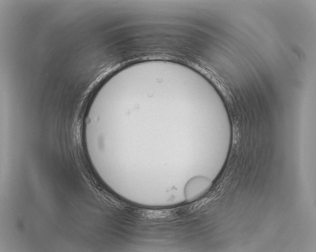 X0000115700347200912101220