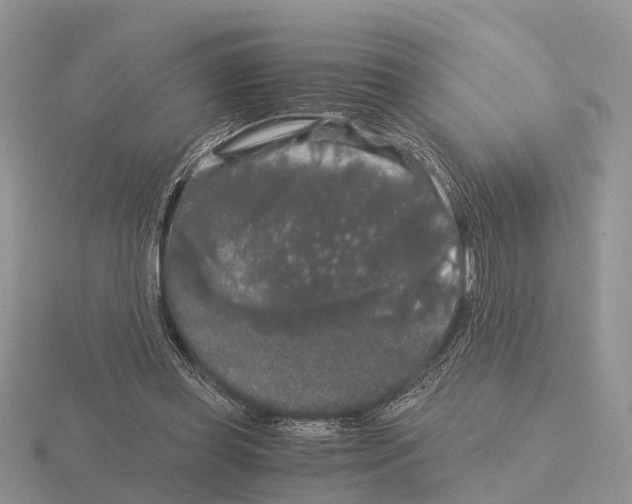 X0000115700349200912101220