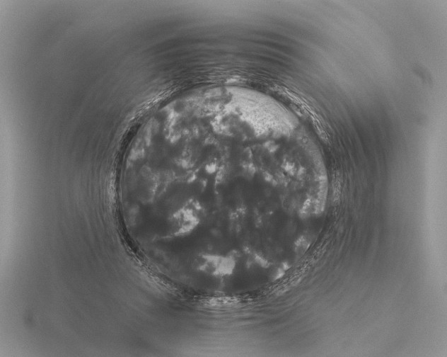 X0000115700353200912101220