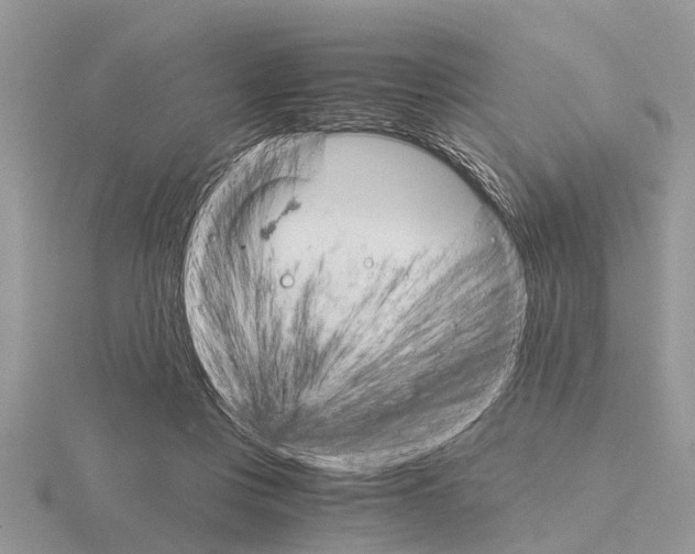 X0000115700359200912101220