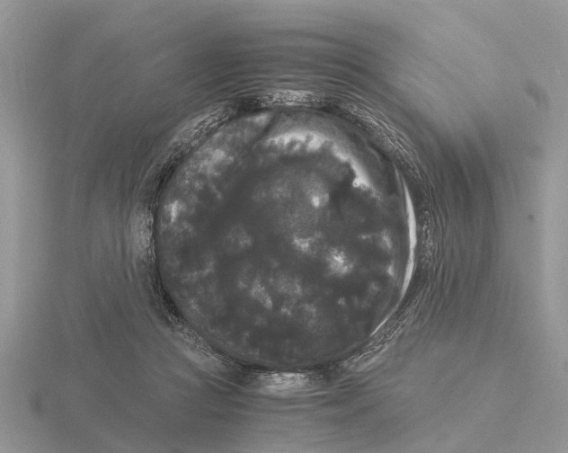 X0000115700361200912101220