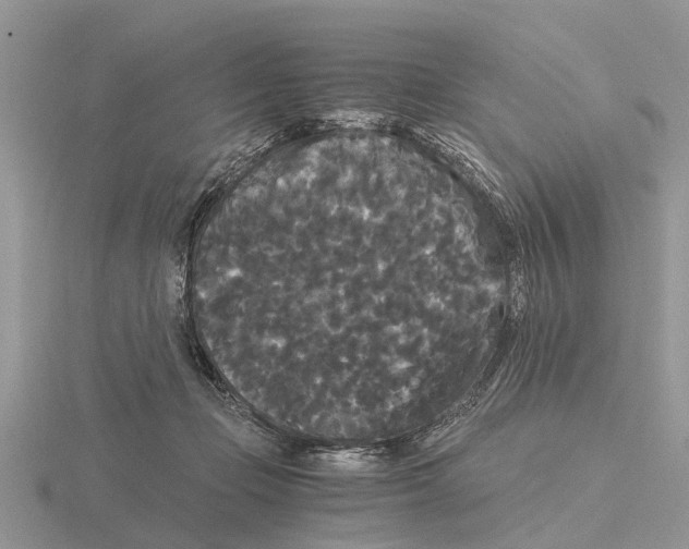 X0000115700365200912101220